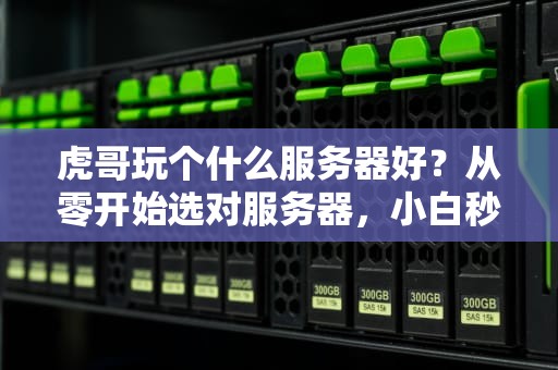 虎哥玩个什么服务器好？从零开始选对服务器，小白秒变老司机！