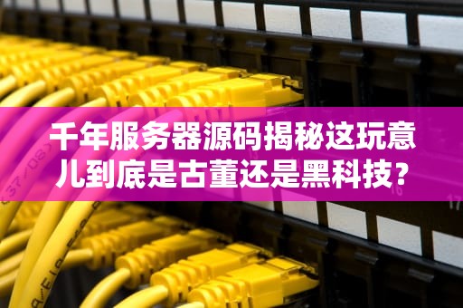千年服务器源码揭秘这玩意儿到底是古董还是黑科技？