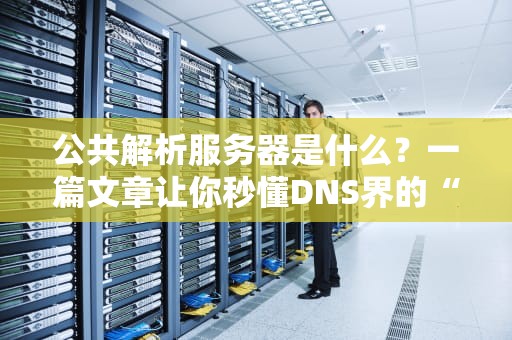 公共解析服务器是什么？一篇文章让你秒懂DNS界的“快递小哥”