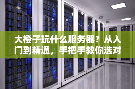 大橙子玩什么服务器？从入门到精通，手把手教你选对“橙”心如意的好机器！