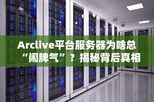 Arclive平台服务器为啥总“闹脾气”？揭秘背后真相与解决方案！