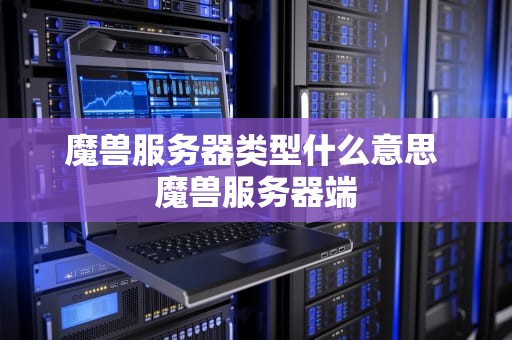 魔兽服务器类型什么意思 魔兽服务器端
