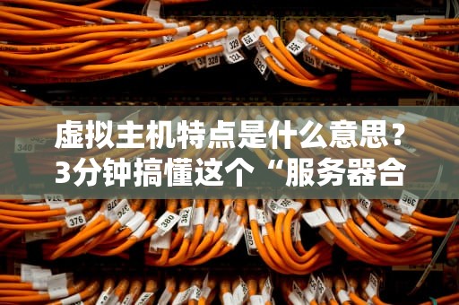 虚拟主机特点是什么意思？3分钟搞懂这个“服务器合租”的秘密！