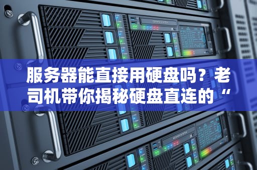 服务器能直接用硬盘吗？老司机带你揭秘硬盘直连的“骚操作”