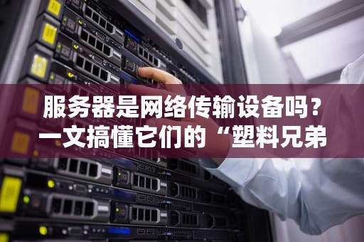 服务器是网络传输设备吗？一文搞懂它们的“塑料兄弟情”