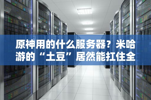 原神用的什么服务器？米哈游的“土豆”居然能扛住全球玩家？