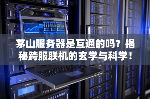 茅山服务器是互通的吗？揭秘跨服联机的玄学与科学！