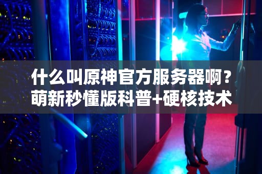 什么叫原神官方服务器啊？萌新秒懂版科普+硬核技术剖析！