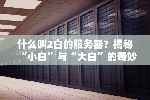 什么叫2白的服务器？揭秘“小白”与“大白”的奇妙组合！