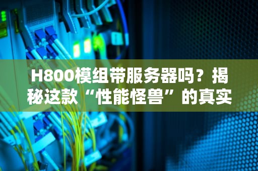 H800模组带服务器吗？揭秘这款“性能怪兽”的真实实力！
