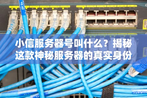 小信服务器号叫什么？揭秘这款神秘服务器的真实身份与性能表现！