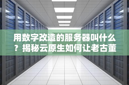 用数字改造的服务器叫什么？揭秘云原生如何让老古董变身钢铁侠！