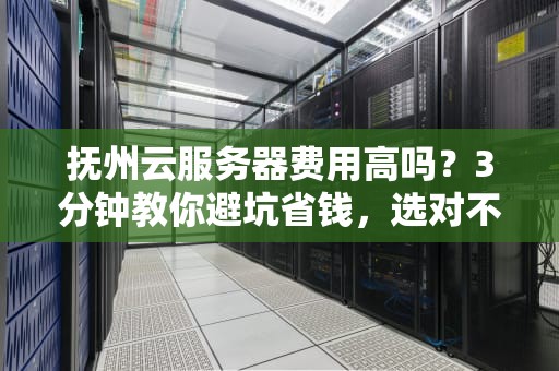 抚州云服务器费用高吗？3分钟教你避坑省钱，选对不选贵！
