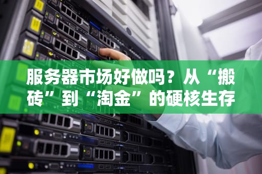 服务器市场好做吗？从“搬砖”到“淘金”的硬核生存指南！