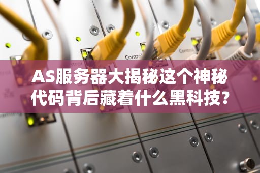 AS服务器大揭秘这个神秘代码背后藏着什么黑科技？