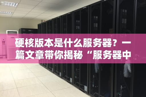 硬核版本是什么服务器？一篇文章带你揭秘“服务器中的战斗机”！