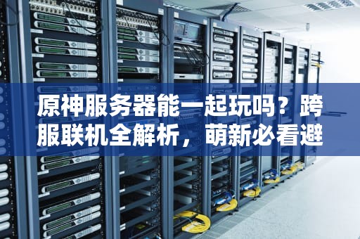 原神服务器能一起玩吗？跨服联机全解析，萌新必看避坑指南！