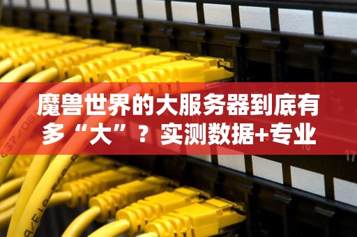 魔兽世界的大服务器到底有多“大”？实测数据+专业解析让你秒懂！