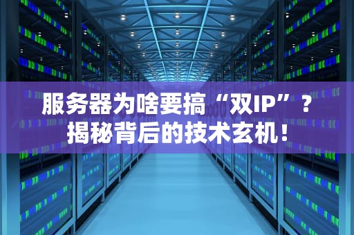 服务器为啥要搞“双IP”？揭秘背后的技术玄机！