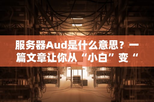服务器Aud是什么意思？一篇文章让你从“小白”变“大神”