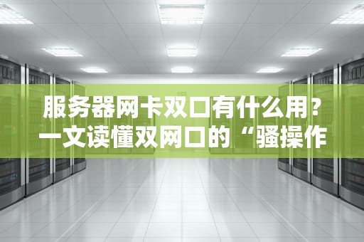 服务器网卡双口有什么用？一文读懂双网口的“骚操作”和硬核实力！