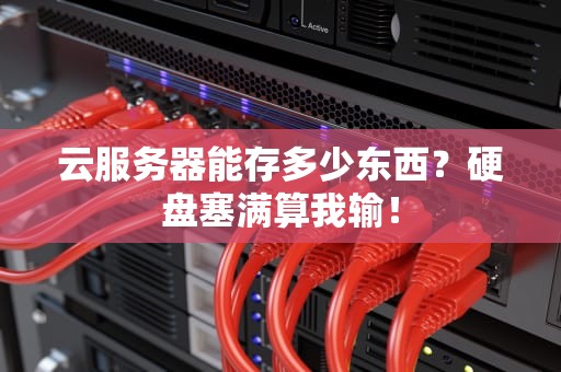 云服务器能存多少东西？硬盘塞满算我输！
