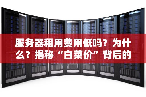 服务器租用费用低吗？为什么？揭秘“白菜价”背后的真相！