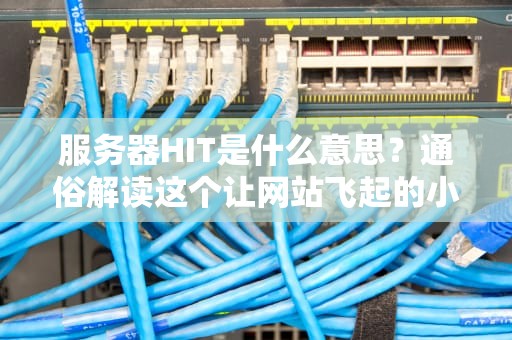 服务器HIT是什么意思？通俗解读这个让网站飞起的小秘密！