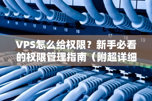 VPS怎么给权限？新手必看的权限管理指南（附超详细步骤）