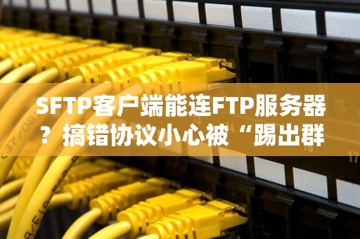SFTP客户端能连FTP服务器？搞错协议小心被“踢出群聊”！