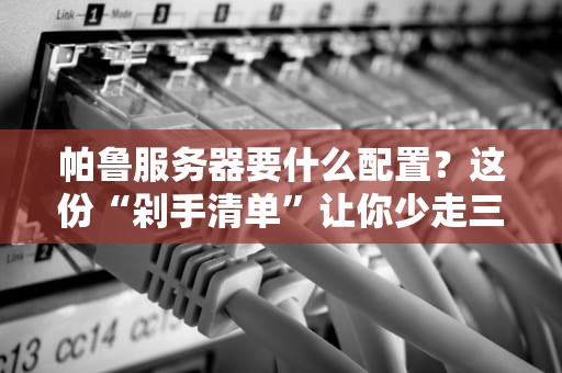 帕鲁服务器要什么配置？这份“剁手清单”让你少走三年弯路！