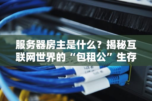 服务器房主是什么？揭秘互联网世界的“包租公”生存指南！