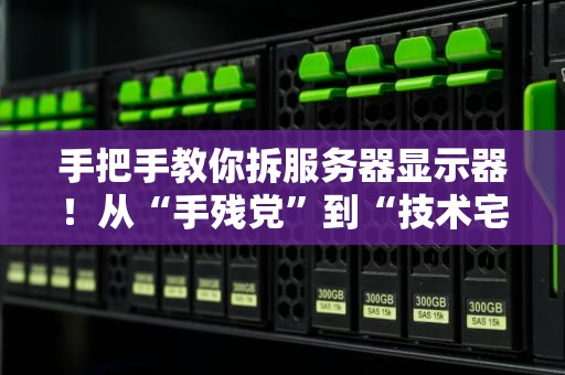 手把手教你拆服务器显示器！从“手残党”到“技术宅”的逆袭指南