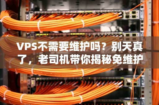 VPS不需要维护吗？别天真了，老司机带你揭秘免维护的真相！