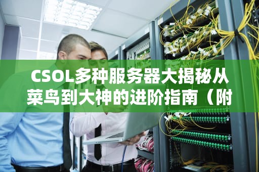 CSOL多种服务器大揭秘从菜鸟到大神的进阶指南（附专业测评）
