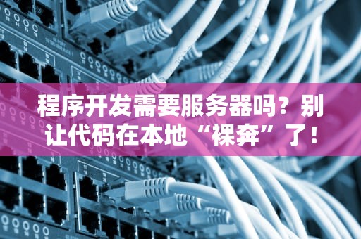 程序开发需要服务器吗？别让代码在本地“裸奔”了！