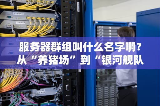 服务器群组叫什么名字啊？从“养猪场”到“银河舰队”，这些脑洞大开的命名套路绝了！
