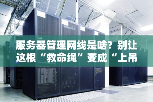 服务器管理网线是啥？别让这根“救命绳”变成“上吊绳”！