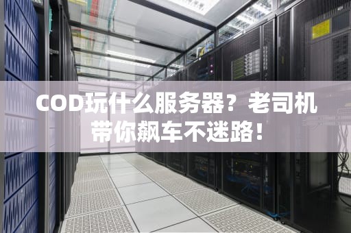 COD玩什么服务器？老司机带你飙车不迷路！