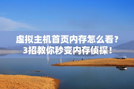 虚拟主机首页内存怎么看？3招教你秒变内存侦探！