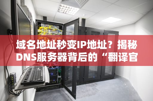 域名地址秒变IP地址？揭秘DNS服务器背后的“翻译官”日常！