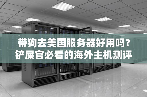 带狗去美国服务器好用吗？铲屎官必看的海外主机测评指南！