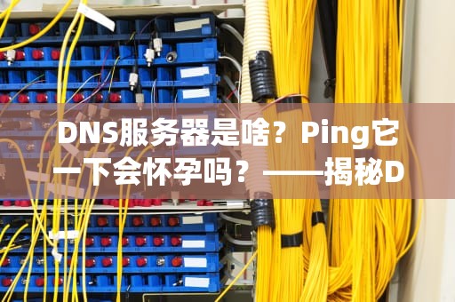 DNS服务器是啥？Ping它一下会怀孕吗？——揭秘DNS服务器的神秘作用