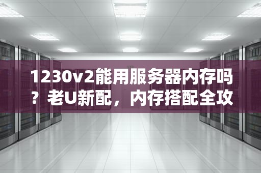 1230v2能用服务器内存吗？老U新配，内存搭配全攻略！