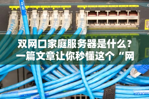 双网口家庭服务器是什么？一篇文章让你秒懂这个“网络双卡双待”神器！