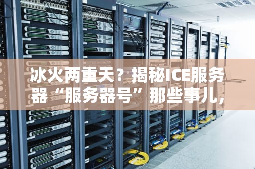 冰火两重天？揭秘ICE服务器“服务器号”那些事儿，看完笑出腹肌！
