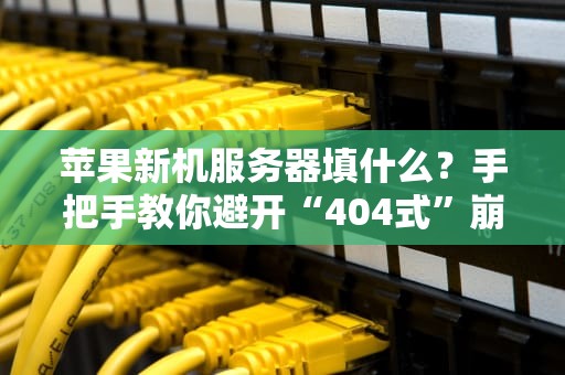 苹果新机服务器填什么？手把手教你避开“404式”崩溃！