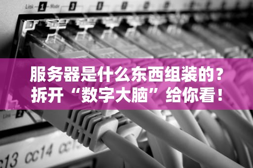 服务器是什么东西组装的？拆开“数字大脑”给你看！——从菜鸟到老司机的硬核科普