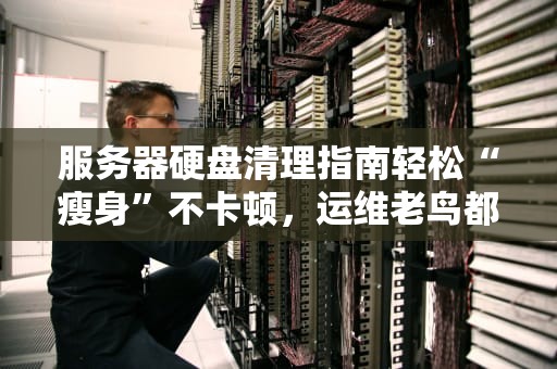 服务器硬盘清理指南轻松“瘦身”不卡顿，运维老鸟都在用的5个妙招！