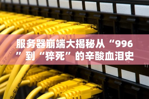 服务器崩端大揭秘从“996”到“猝死”的辛酸血泪史